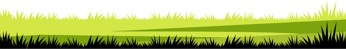Grass